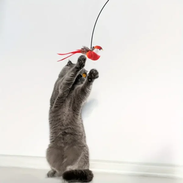 3pcs Interactive Cat Toy Set with Realistic Birds, Mice, and Natural Feathers - Handheld Teaser Wand with Bell, Double Rods, and Strong Suction Cups - Ideal for Active Play and Exercise - Perfect Birthday Gift for Kittens (Random Replacement Heads), Without Battery - Image 2