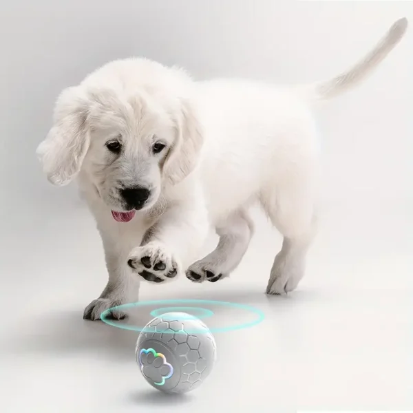 Interactive Smart Pet Ball Toys For Dogs Puppies, Automatic Rolling Ball Electric Dog Bouncy Ball Toy For Endless Fun And Exercise Christmas Gift - Image 3