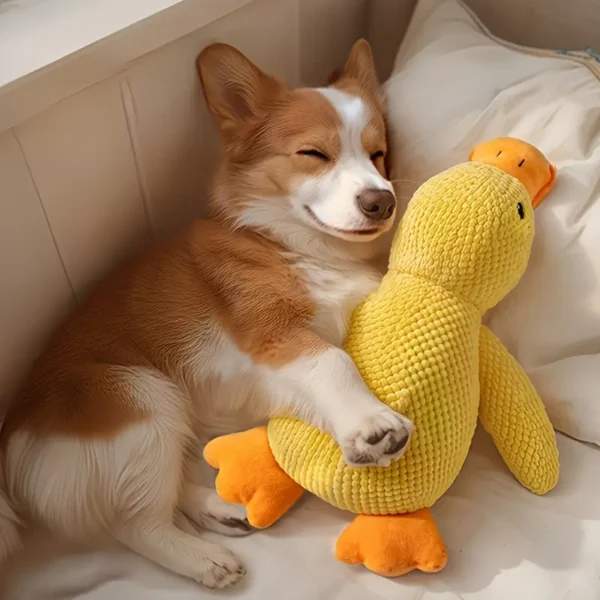 Plush Squeaky Duck Dog Toy | Bite-Resistant, Soft Chew Toy | For Medium to Small Breeds | Interactive Sound Effects | Play & Training | Dog Toys for Aggressive Chewers