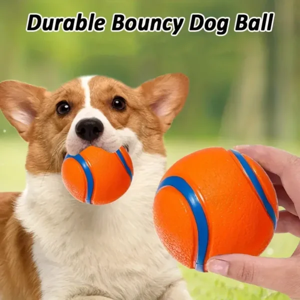 Bouncy Dog Ball - Teeth-Cleaning, Water-Friendly for Training & Play, Vibrant Orange & Blue - Ideal for Medium Breeds - Image 6