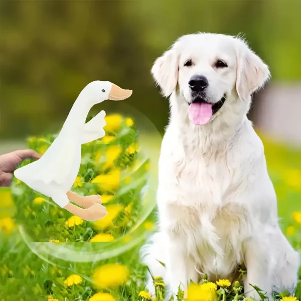 1pc Cute Cartoon Animal Dog Toy - 50.04cm Plush Swan Hug Pillow Duck Toy for Dogs, Soft Cotton, All Breed Sizes, Interactive Pet Plaything, Dog To - Image 4