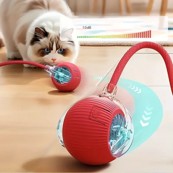 MIAOQUANJI Self-Rolling Cat Toy Ball with LED Lights & Tail String - USB Rechargeable Interactive Pet Exercise Toy for Cats & Small Dogs, Durable Silicone Auto-Moving Ball for Indoor Play, Pet Play Toy | Textured Surface | Silicone Construction, Interactive Cat Toy, MIACQUANJI
