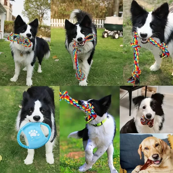 6-Pack Durable Cotton Blend Dog Rope Toys Set - Tough Chew Toys for Teething, Tug of War - Ideal for Medium to Large Breeds - All Breed Sizes Recommended - Image 4