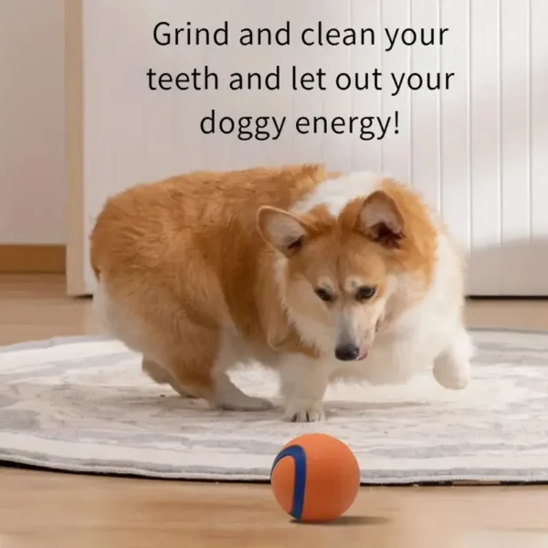 Bouncy Dog Ball - Teeth-Cleaning, Water-Friendly for Training & Play, Vibrant Orange & Blue - Ideal for Medium Breeds - Image 2