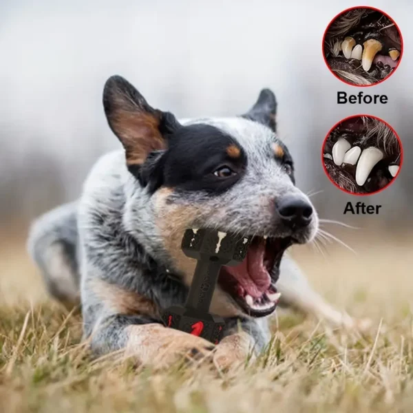 Indestructible Dog Chew Toy - Tough Natural Rubber Dumbbell for Aggressive Chewers, Medium to Large Breeds, Promotes Dental Health & Anxiety Relief - Image 2