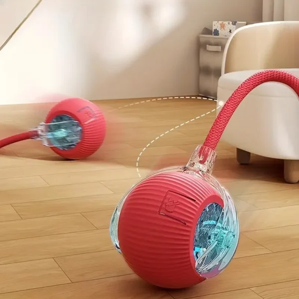 MIAOQUANJI Self-Rolling Cat Toy Ball with LED Lights & Tail String - USB Rechargeable Interactive Pet Exercise Toy for Cats & Small Dogs, Durable Silicone Auto-Moving Ball for Indoor Play, Pet Play Toy | Textured Surface | Silicone Construction, Interactive Cat Toy, MIACQUANJI - Image 2