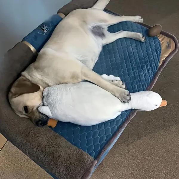Cute Cartoon Duck & Goose Plush Toy - Soft Pillow for Indoor Pet Companion, Interactive Plaything with Orange Beak & Webbed Feet, Ideal Gift for Pets, Pet Gift|Playful Design|Soft Texture - Image 5