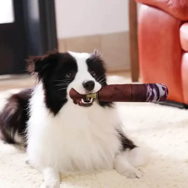 Funny Dog Toy with Interactive Squeaky Sound and Softness for Small, Medium, and Large Puppies and Dogs, Fun Novelty Play - Image 3
