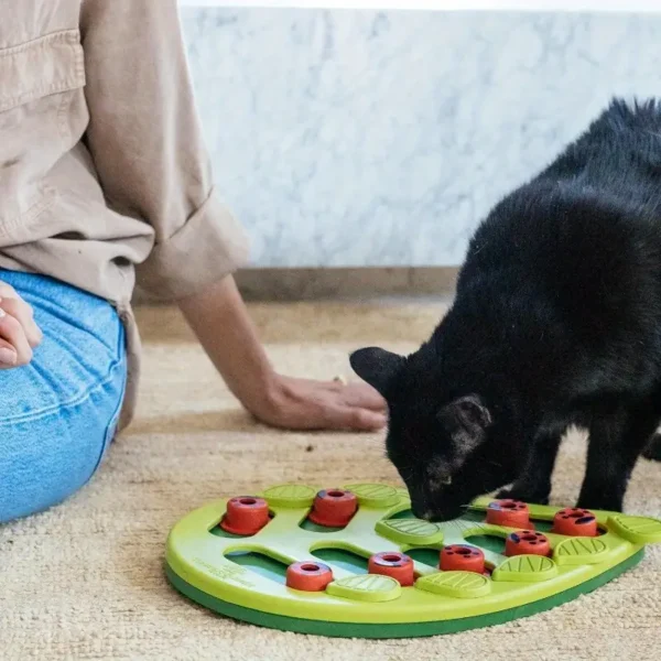 APPKER Interactive Cat Treat Puzzle Toy - Engaging Brain Stimulating Game for Indoor Cats, Slow Feeder for Healthy Eating & Play, Durable Plastic Pet Toy to Alleviate Boredom, Fun Challenge for Kittens & Adult Cats, Mental Stimulation Toy | Ladybug Motif | Durable Plastic Toy, Cat Toy, Without Battery - Image 3