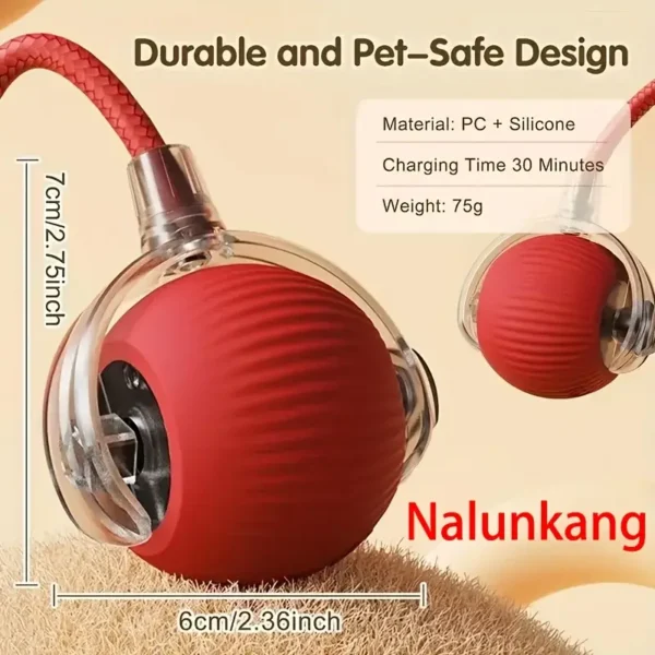 Interactive electric cat toy with sound - USB charging, bite resistant and durable ball, used to relieve boredom, indoor sports and entertainment companions, suitable for all breeds of indoor cat toys - Image 5