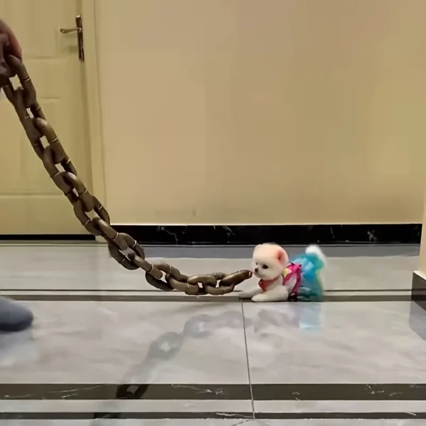 Funny Chain-Linked Dog Toy with Traction Rope - Lightweight PP Material, High Head Retention, Metallic Appearance Rope for Small/Medium Breeds, Durable and Entertaining Pet Play Accessory, Durable Dog Toy|Metallic Appearance Rope|Durable Plastic Rop - Image 3