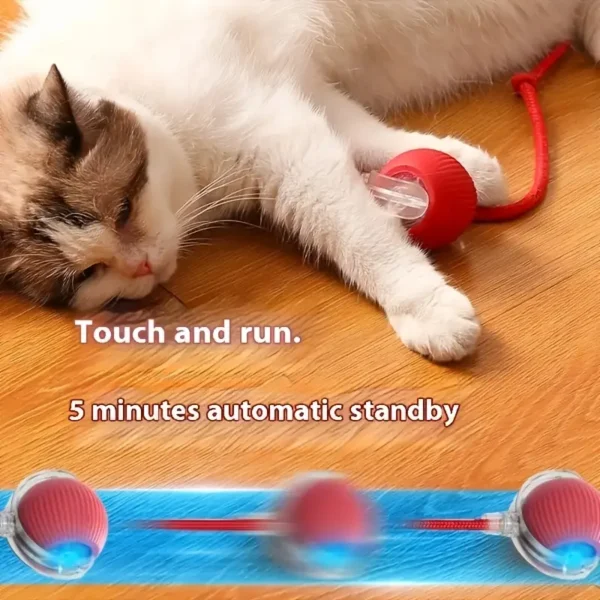 Interactive electric cat toy with sound - USB charging, bite resistant and durable ball, used to relieve boredom, indoor sports and entertainment companions, suitable for all breeds of indoor cat toys - Image 3