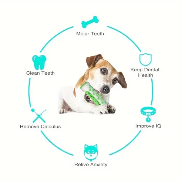 Durable Rubber Dog Chew Toy - Dental Cleaning Brush for All Breeds, Interactive Training & Self-Cleaning Design - Image 2
