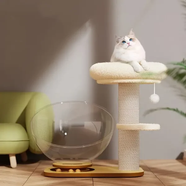 All-Season Transparent Cat Bed with Stand, Durable Scratching Post and Anti-Shedding Climbing Frame for Cats - Image 2