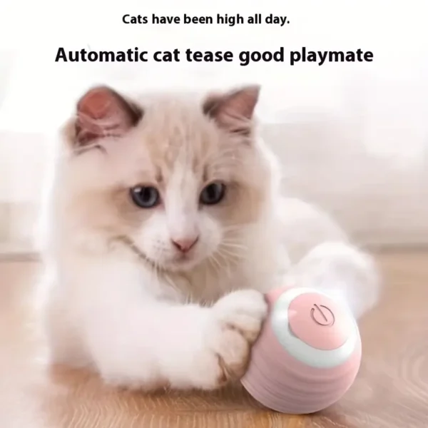 Interactive Cat Toy Ball, USB Rechargeable Silicone Automatic Rolling Ball with Stripes Pattern, Lithium Polymer Battery, Ideal for Small Breeds, Electric Pet Plaything - Image 2