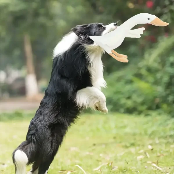 1pc Cute Cartoon Animal Dog Toy - 50.04cm Plush Swan Hug Pillow Duck Toy for Dogs, Soft Cotton, All Breed Sizes, Interactive Pet Plaything, Dog To - Image 3